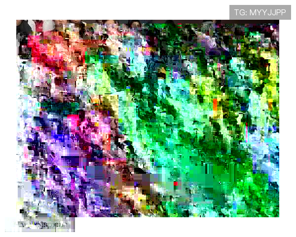 沃顿自述虽非最强却以智慧弥补不足激励年轻球员的宣言发展方向路